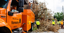 Orange City of St. Louis Forestry truck parked near workers clearing fallen tree branches from a street.